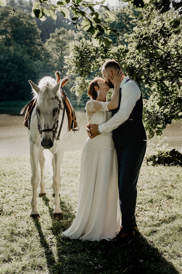 white horse on the wedding