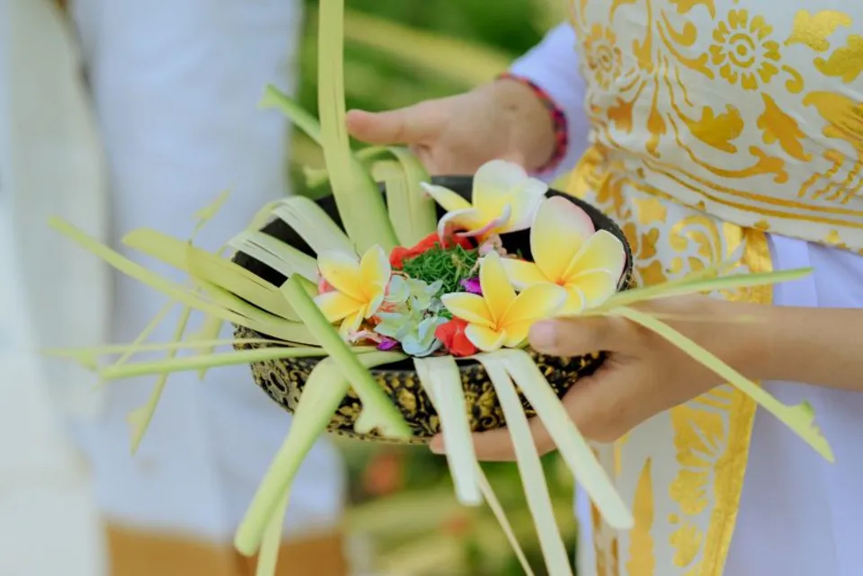 Entertainment Performance