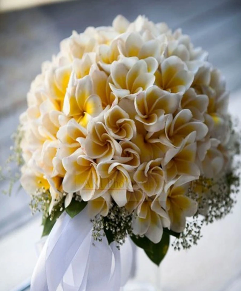 Fresh Flower Bouquet catalogue